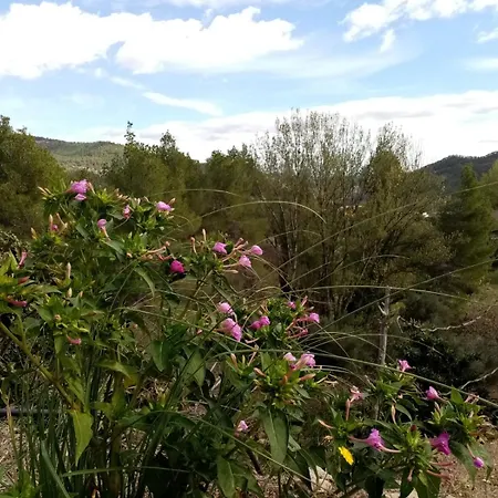 El Cubo De Sebastian Hétvégi ház Olba
