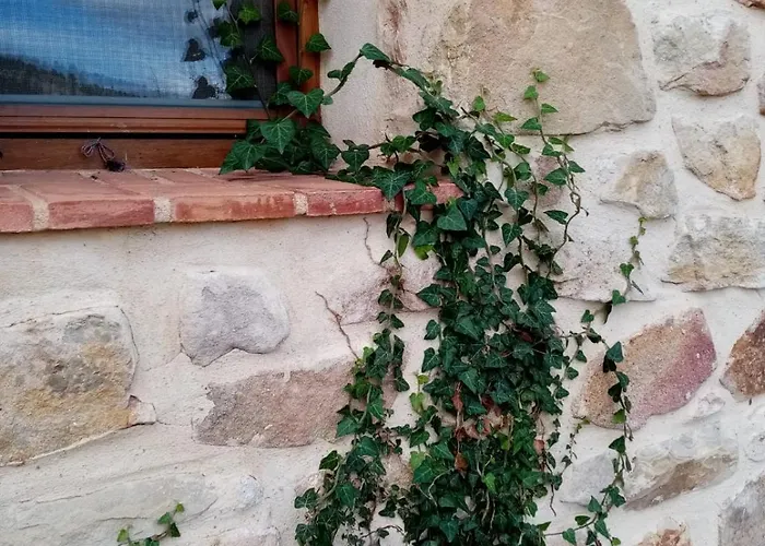 El Cubo De Sebastian