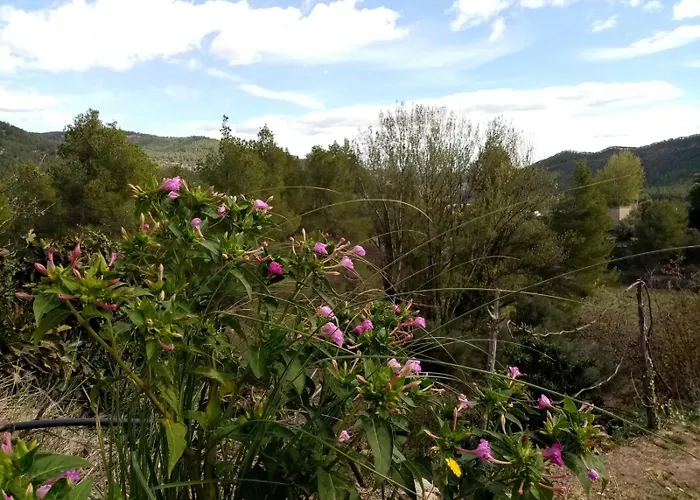 El Cubo De Sebastian Lantställe Olba